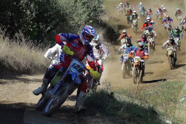 Sezona 2015